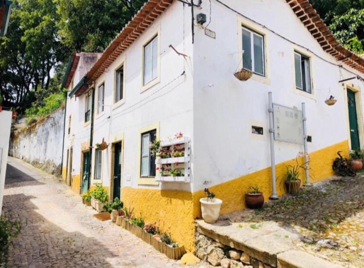 Вилла Pe Do Castelo Pet Friendly - Studio & Garage Томар Экстерьер фото